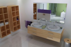 Bathroom Cabinets Sebastopol